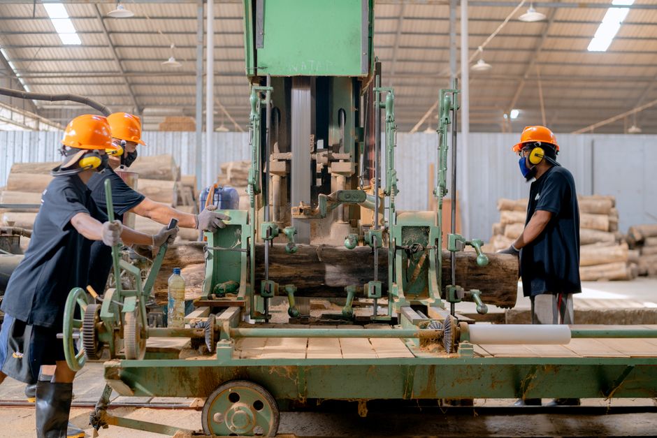 Proses pemotongan kayu jati di industri resmi